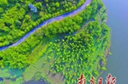 无人机镜头尽收黄江绿道好风光