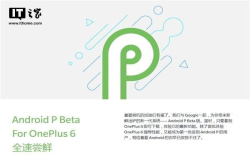 一加6发布当天将迎来AndroidPbeta系统