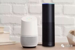 AmazonEchovs.GoogleHome：哪个才是你的菜？