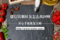 微信误删好友怎么找回啊？Apple手机恢复专家来解答