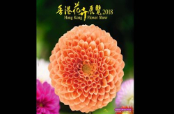 【图辑】2018年花展DCFever会员作品欣赏