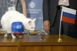 俄罗斯叶卡捷琳堡动物园请狐猴来预测世界杯它毫不犹豫地冲向沙特阿拉伯