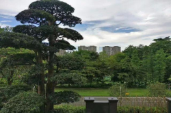案例｜纵观山水也独揽私人空间：佛山天湖郦都家庭影院