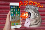 【行情速递】iPhone8、iPhone8Plus任你买！零售商竟然仲要炒