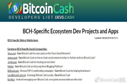 励志前行 加速BCH创新落地