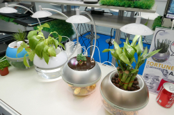Computex2017：桃子良品香草与鱼二代：植物与存钱筒