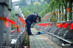 对不起 您拜访的墓地已欠费