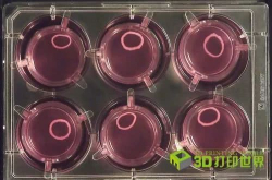 AspectBiosystems获百万美元注资 推进生物3D打印商业化计划