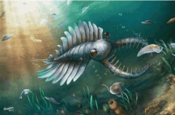 地球上曾发生一件悬案 寒武纪时期 为何会出现那么多生物呢
