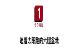 科技周报|头顶一片绿 追着太阳跑的奇葩机器人