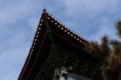 拍照宽容度不好?这些小技巧轻松解决