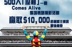 7月10日ComesAlive“压轴”马场专题摄影比赛提交作品安排