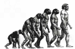 生活在地球的人类 或并非原生物种 科学家：人类记忆被恶意删除