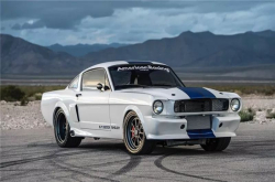 野性伊莲娜：ShelbyGT350CR