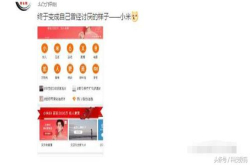 网友戏称 小米终于变成自己曾经讨厌的样子