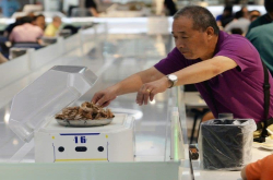 芯片劳动力：机器人取代餐馆服务员 未来去洗碗都没人要？
