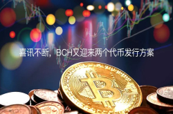 喜讯不断 BCH又迎来两个代币发行方案