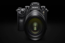 【宠物界新惊喜】影动物都可以用 Eye AF！Sony A9 新固件三月起驾到！