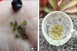 夏威夷火山喷发后下起宝石雨