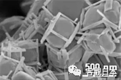 全球首次 日本开发出吸收太阳可见光分解水的氮化钽光触媒