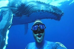野生捕获！贪玩座头鲸也Selfie