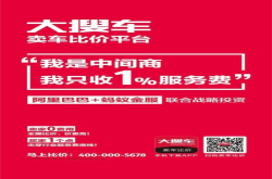 反向定位为中间商大搜车的降维打击战术你看懂了吗？