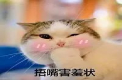 iPhoneX自己换发型 无敌