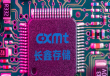 长鑫前三季净赚1310亿 股价却跌逾6％