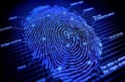 指纹识别安全吗？人造指纹解锁成功率达50%