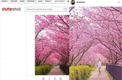 新加坡摄影师买 Stock Photo，放自己 IG 呃追随者被揭发