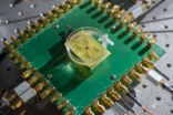科学家新研发1.5毫米相机可自由进出血管拍摄