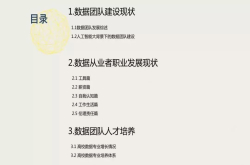 报告|清华2018顶级数据团队建设全景报告发布：Python最受欢迎 C语言含金量最高