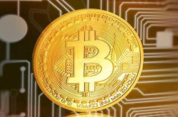 BitPay商家现在可以通过比特币现金BCH获得结算