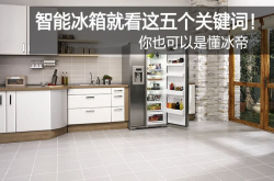 智能冰箱就看这五个关键词 你也可以是懂冰帝