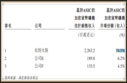 解构芯片设计黑马比特大陆