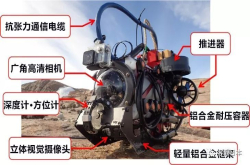 看看南极冰雪世界的湖底都有什么？
