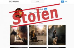 大意致 IG 账户被盗，摄影师或失 80 万追随者