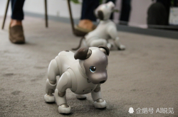 宠物养成记：你训练过机器狗吗？