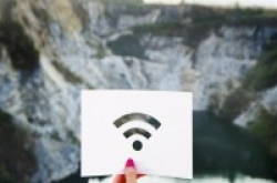 研究：Wi-Fi、手机网络对野生物种构成“切实”威胁