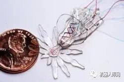 超灵活 美科学家打造新型软件蜘蛛机器人