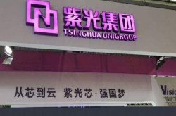 突发 紫光系股权大变动