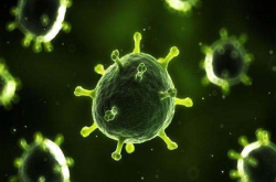 科学家研发出一种新型治疗癌症方法 效果颇佳 可彻底杀死癌细胞