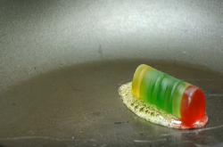 软糖搭配交响乐成为融化的节奏