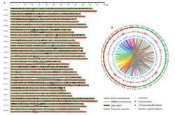 科学家发布大豆基因组为国产优异大豆培育奠定基础