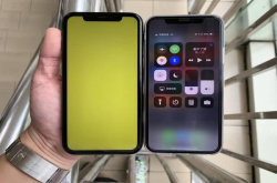 A12仿生芯片＋1200万 iPhoneXR九天后开卖引争议