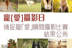 准确捕捉爱犬精彩瞬间．“宠”爱摄影比赛得奖名单出炉！