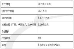 英飞凌将在奥新建300毫米芯片工厂 计划6年内投16亿欧元