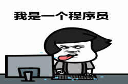 中国首档程序员综艺：你有freebug吗？