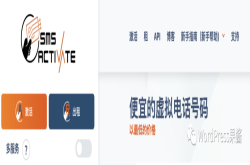 ChatGPT爆火，开发者如何注册 ChatGPT服务。