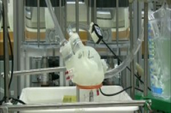 瑞士科学家用3D打印打造硅胶心脏，可模拟人类心脏跳动